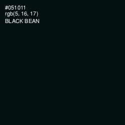 #051011 - Black Bean Color Image